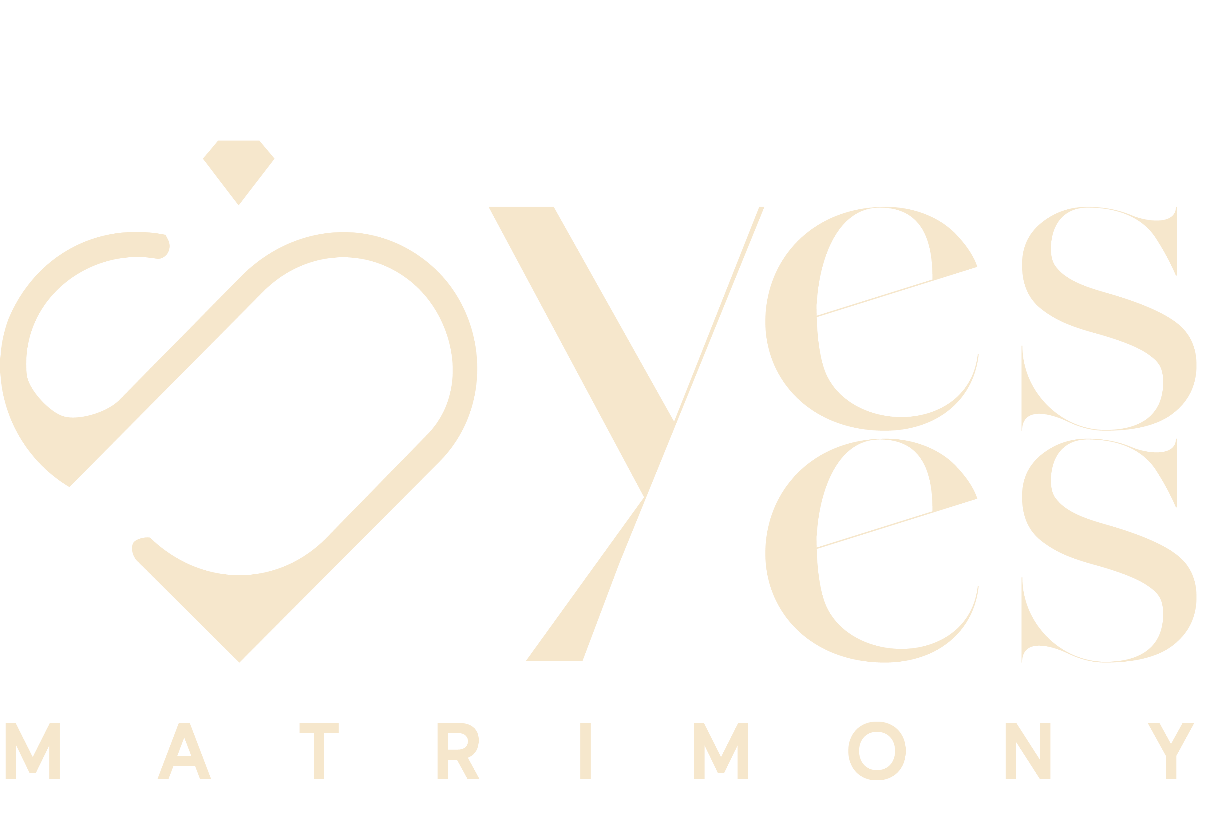 YesYes Matrimony